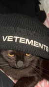zommmbri Altpins Profile Picture
