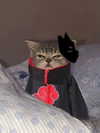 milkiwifey Altpins Profile Picture