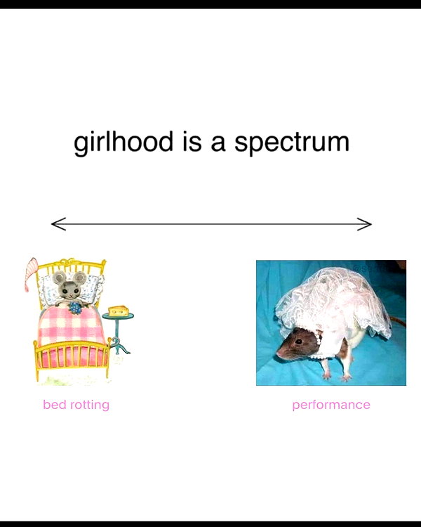 leanbeefpatty instagram image archive image