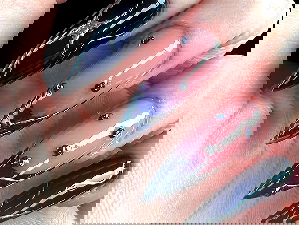 may.kaminski may.kaminski archive image