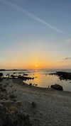 mishel_d_ Altpins Profile Picture
