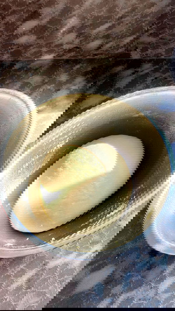 elianachetrit elianachetrit archive image