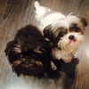 ashleybenson Altpins Profile Picture