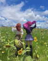 jadelaverne Altpins Profile Picture
