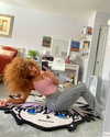 kieraplease Altpins Profile Picture