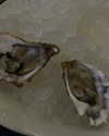 veroni22ka Altpins Profile Picture
