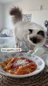 kasumi_sen Altpins Profile Picture