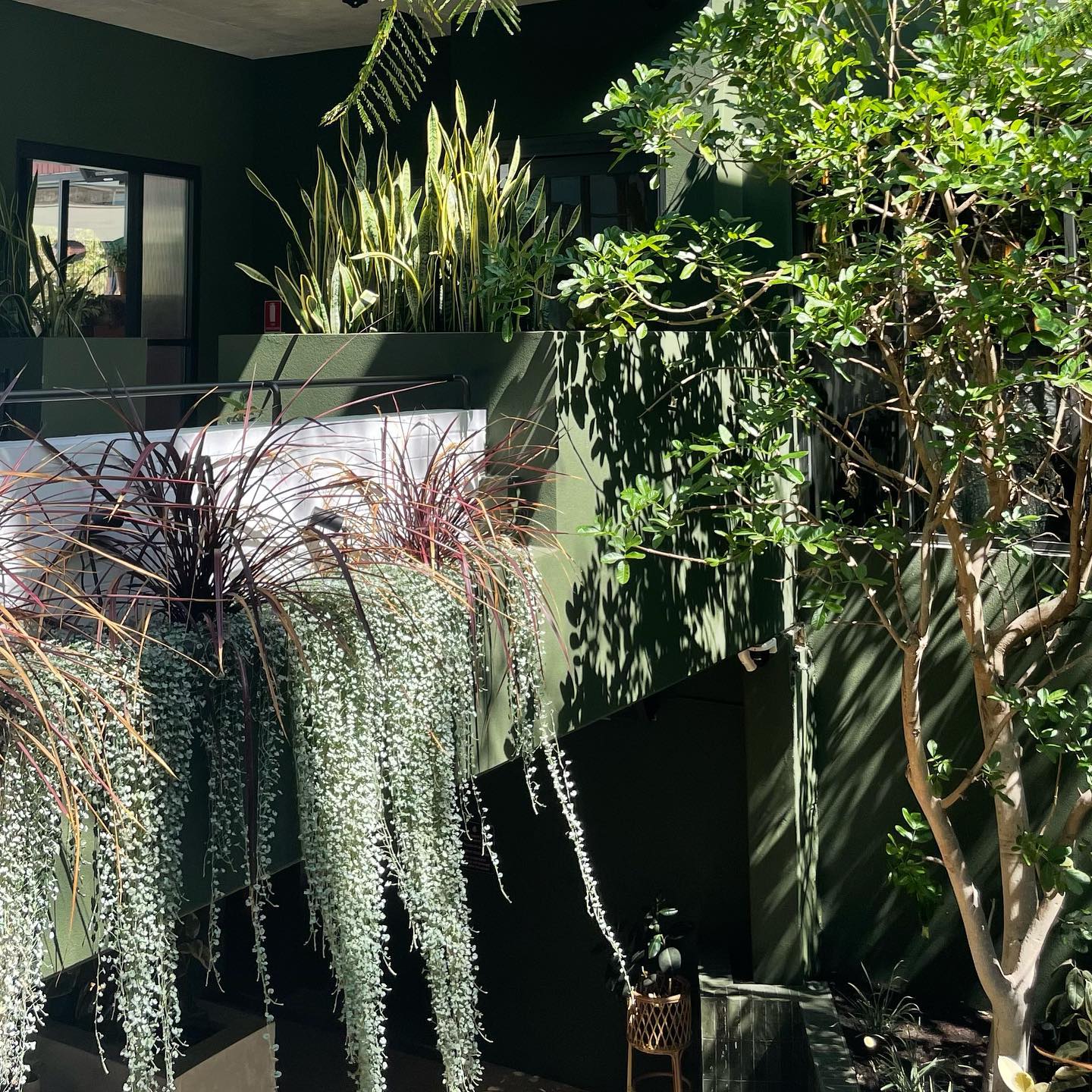 jtilb2 instagram image archive image