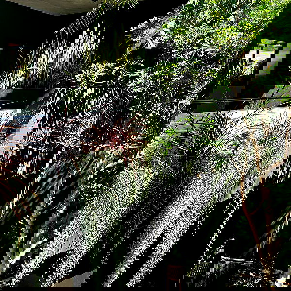 jtilb2 image ~ Altpins