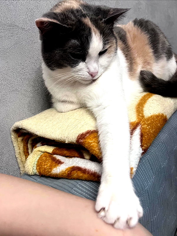 alskohope instagram image archive image