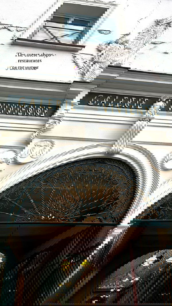 taylor.creeden taylor.creeden archive image