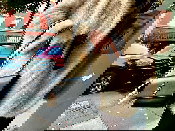 haylujan haylujan archive image