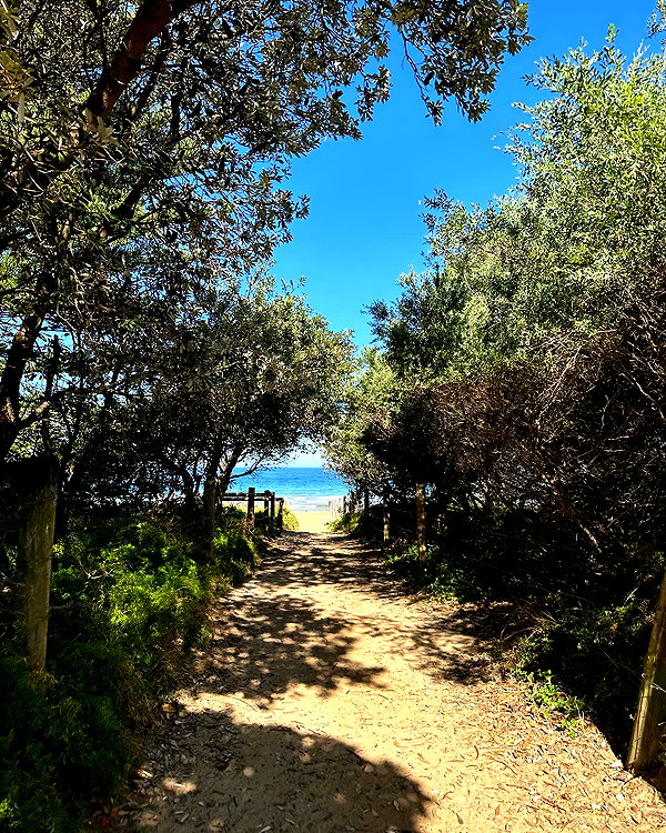 sophadophaa_ instagram image archive image