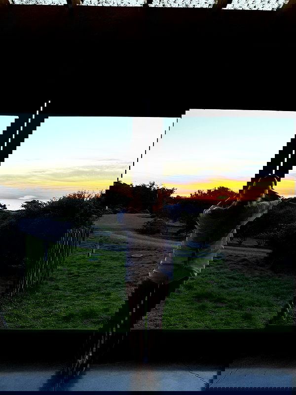 carolinezalog carolinezalog archive image