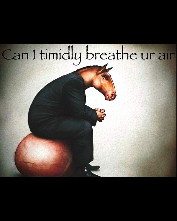 leanbeefpatty instagram image archive image