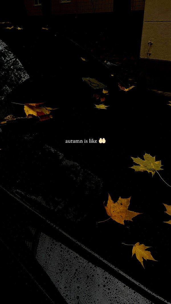 veroni22ka veroni22ka archive image