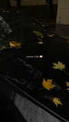 veroni22ka Altpins Profile Picture