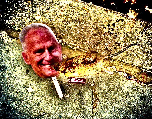 bugz4brainz instagram image archive image