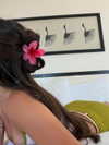 tsarbayeva Altpins Profile Picture