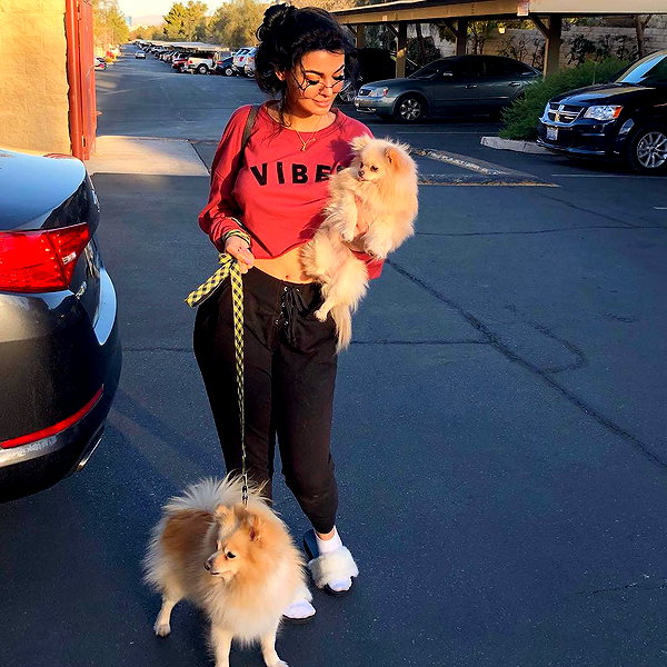 sssniperwolf instagram image archive image