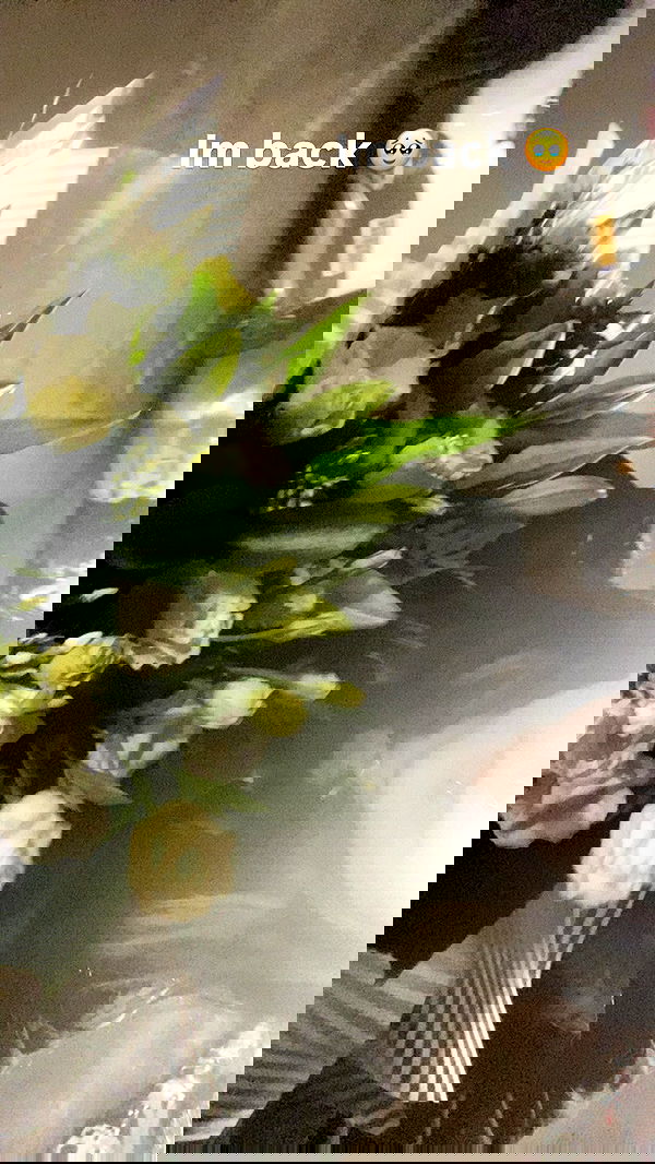 rose_xanne rose_xanne archive image