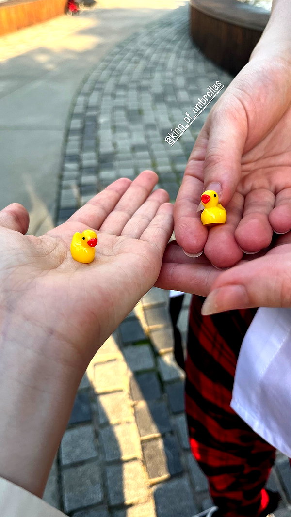 duckie.cos instagram image archive image