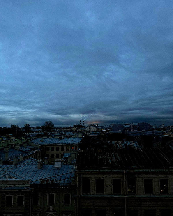 alishevs instagram image archive image