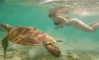 amit._.bar Altpins Profile Picture