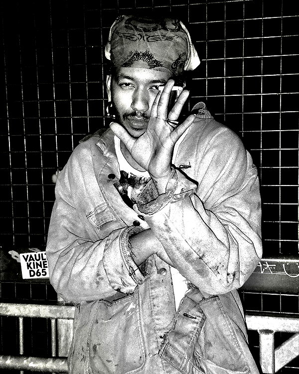 bugz4brainz instagram image archive image
