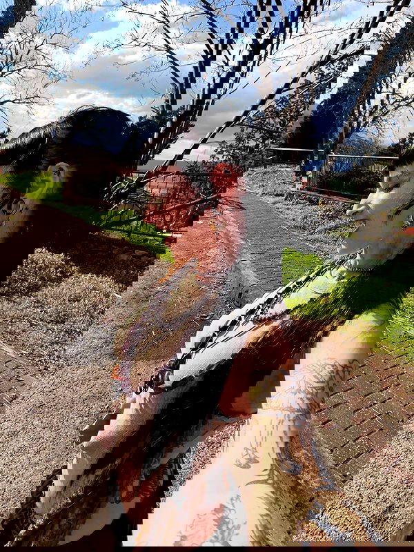 strawberryshanz strawberryshanz archive image