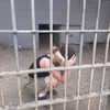 bugz4brainz Altpins Profile Picture