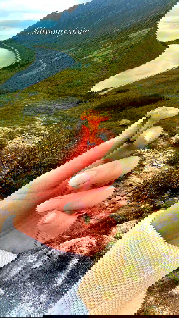 taylor.creeden taylor.creeden archive image