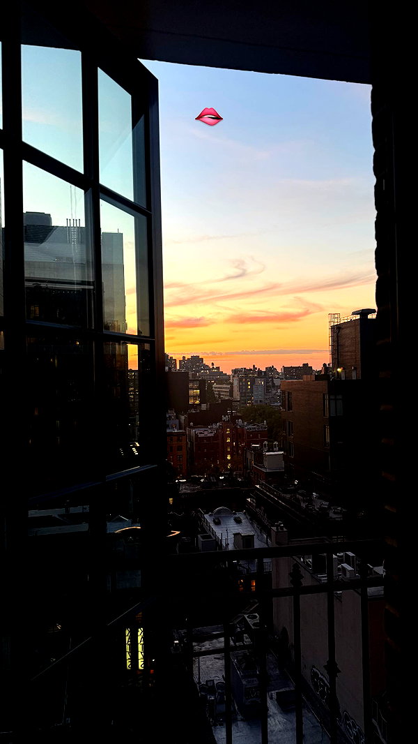 alexconsani instagram image archive image