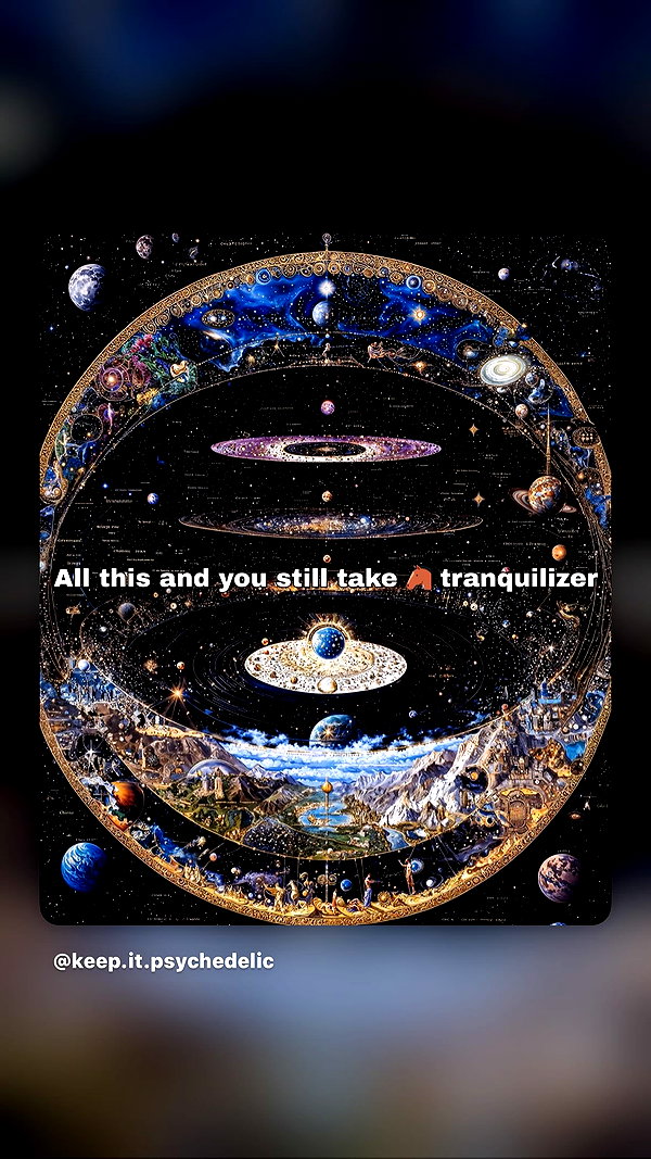 iinfusiia instagram image archive image