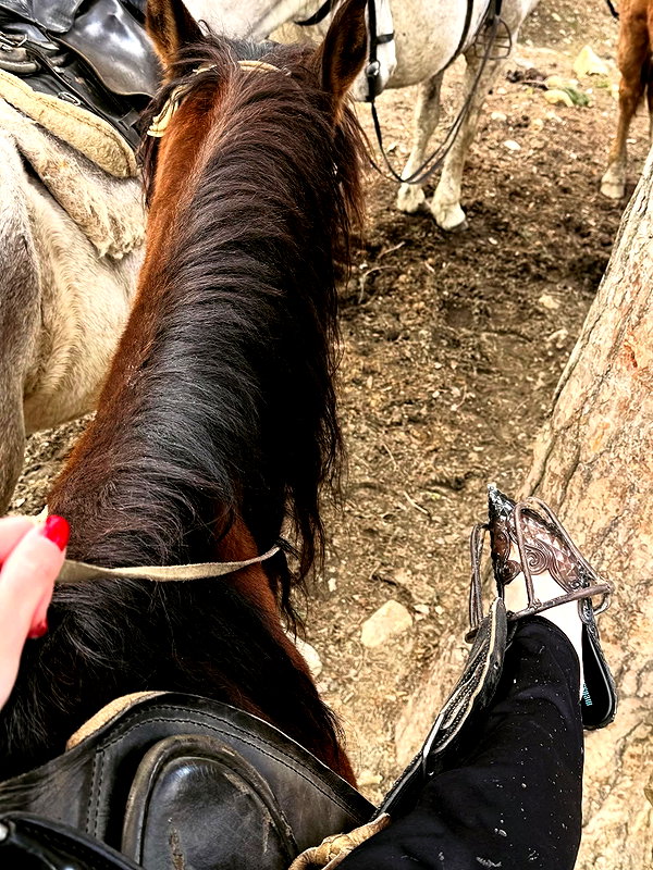 aseynat0r instagram image archive image