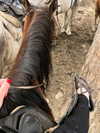 aseynat0r Altpins Profile Picture