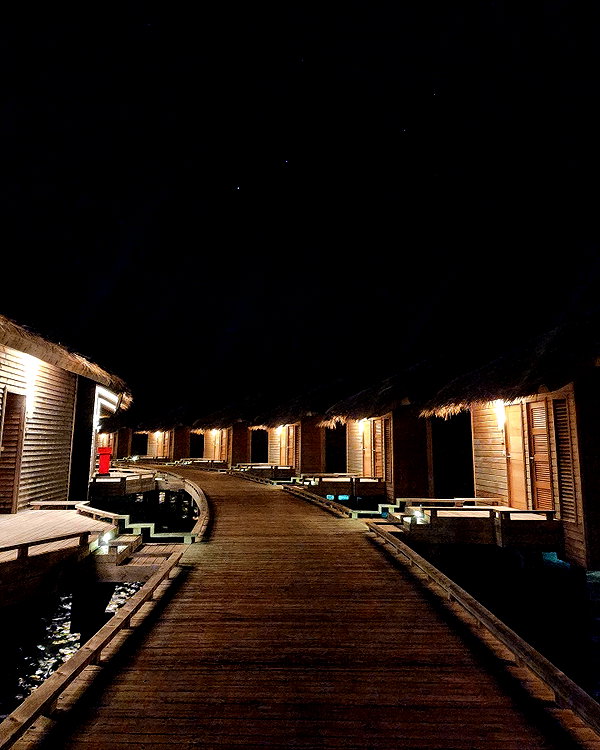 barzomer instagram image archive image