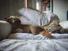 alexandradaddario Altpins Profile Picture