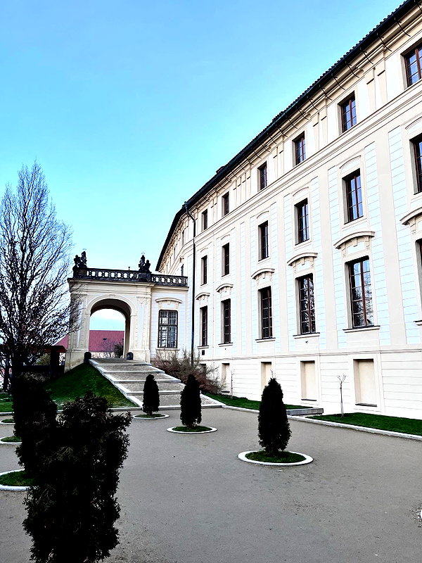 nikolpeleg instagram image archive image