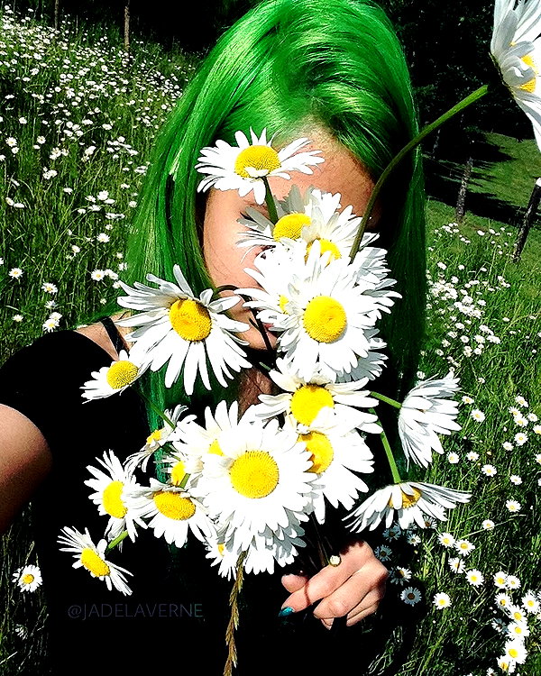 jadelaverne instagram image archive image