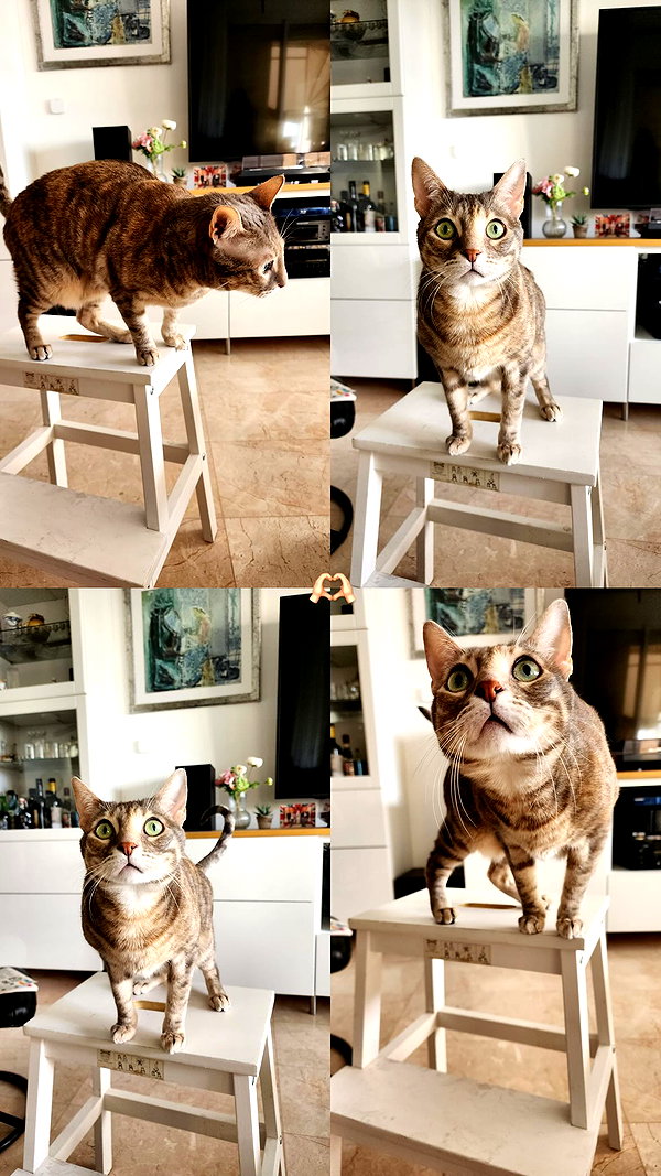 Archived image from @notchicore on Instagram