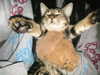 lolontlia Altpins Profile Picture