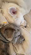 jenniferaniston Altpins Profile Picture