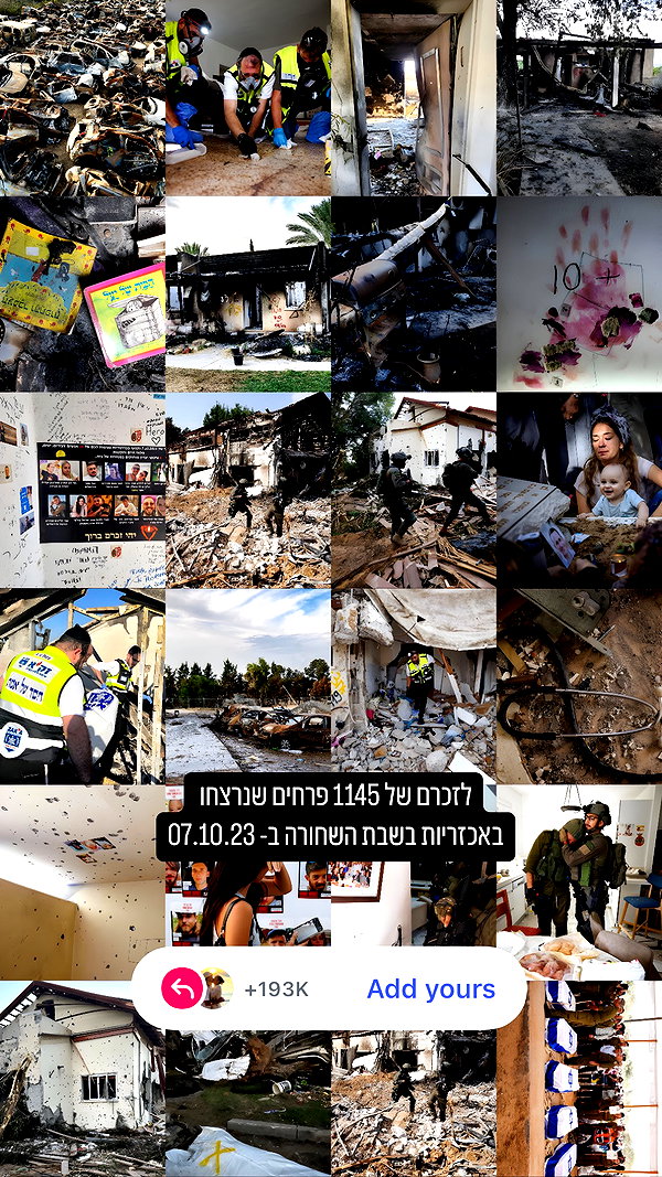 tomer_yosf tomer_yosf archive image