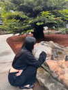 fair_mua Altpins Profile Picture