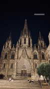ancideja Altpins Profile Picture