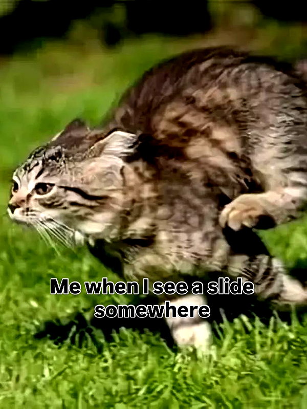 milkibunshehe instagram image archive image