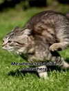 milkibunshehe Altpins Profile Picture