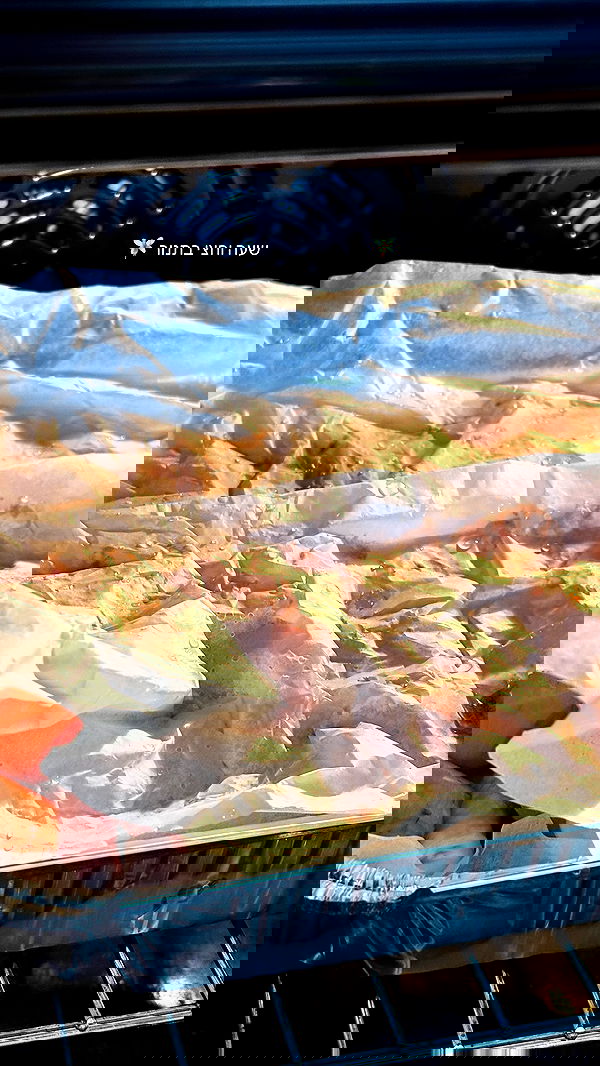 noammalka___ noammalka___ archive image