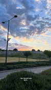 mishel_d_ Altpins Profile Picture